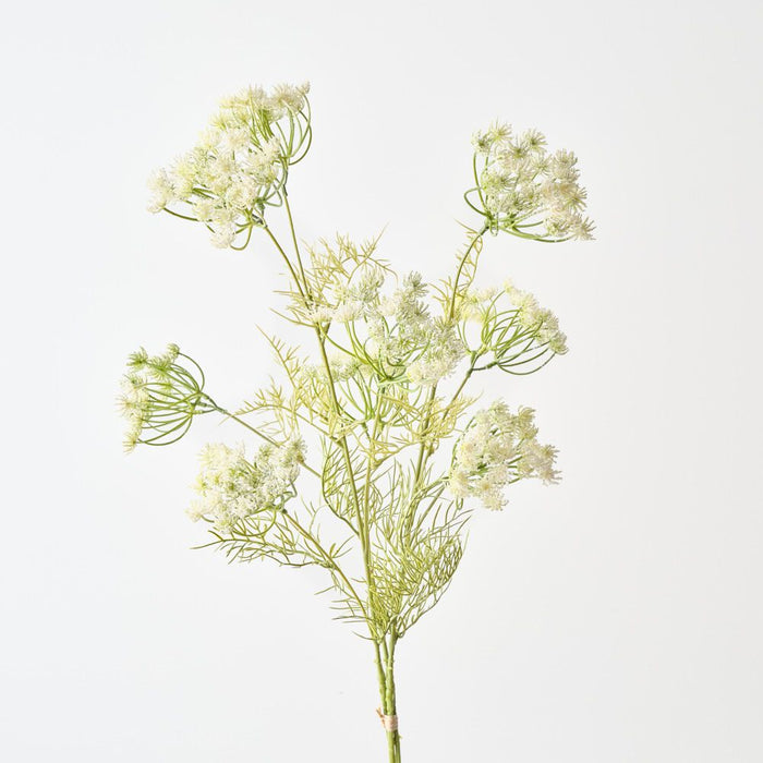 Artificial Queen Annes Lace Bundle 89cm White - Pack of 6 - FLORA DESIGNS