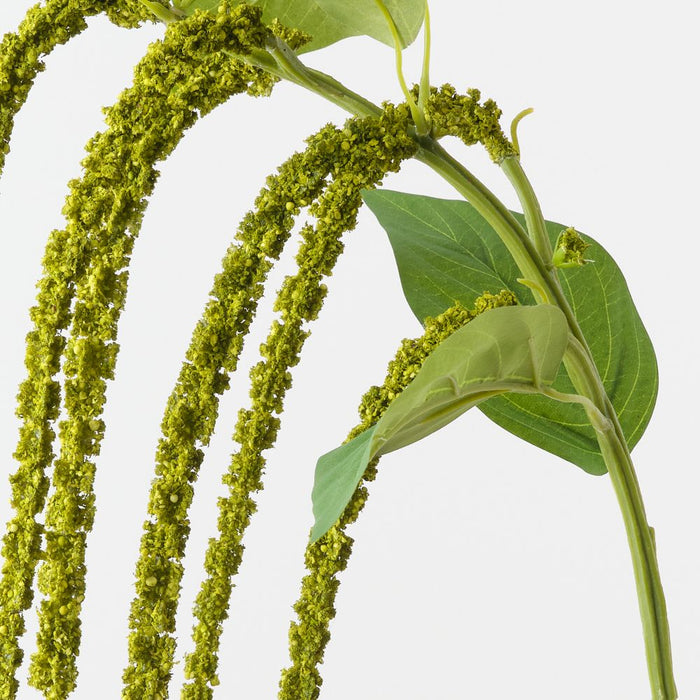 Artificial Amaranthus Spray 61cm Green - Pack of 12 - FLORA DESIGNS