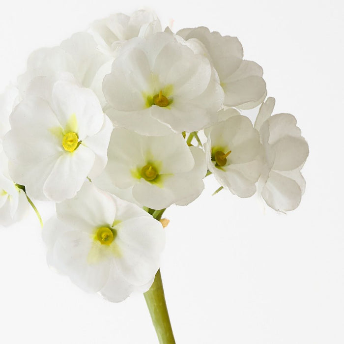 Artificial Primula Spray 74cm White - Pack of 12 - FLORA DESIGNS