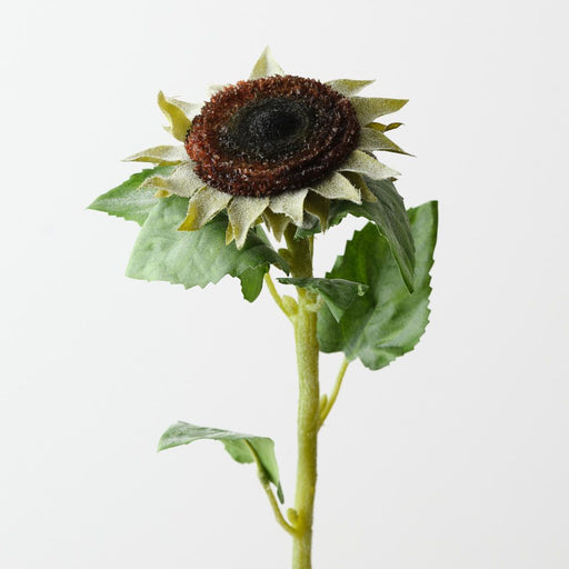 Artificial Sunflower Core 61cm Green Brown - Pack of 12 - FLORA DESIGNS