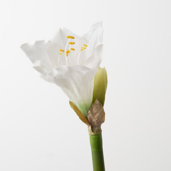 Artificial Amaryllis 74cm White - Pack of 12 - FLORA DESIGNS