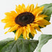 Artificial Sunflower 74cm Yellow - Pack of 12 - FLORA DESIGNS