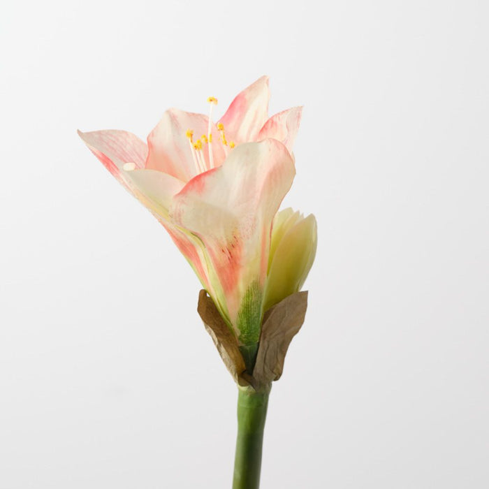 Artificial Amaryllis 74cm Coral Pink - Pack of 12 - FLORA DESIGNS