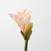 Artificial Amaryllis 74cm Coral Pink - Pack of 12 - FLORA DESIGNS