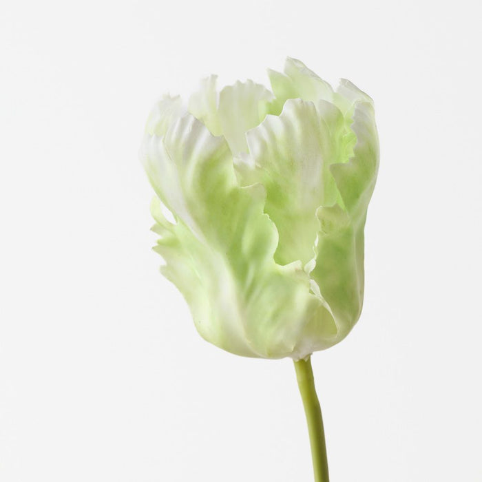 Artificial Parrot Tulip 68cm Green White - Pack of 12 - FLORA DESIGNS