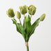 Artificial Dutch Tulip Bundle 33cm Green - Pack of 6 - FLORA DESIGNS