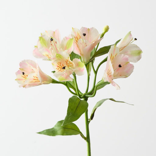 Artificial Alstromeria Spray 51cm Cream Pink - FLORA DESIGNS