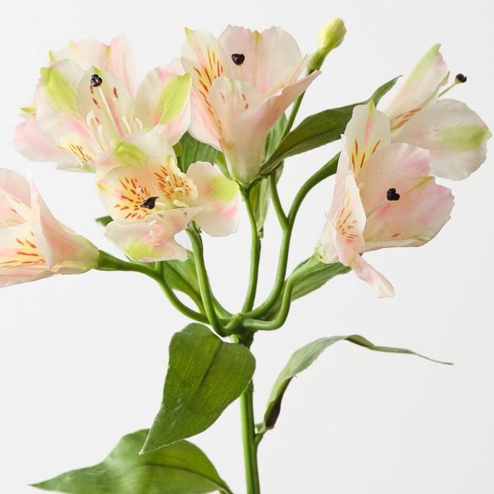 Artificial Alstromeria Spray 51cm Cream Pink - FLORA DESIGNS