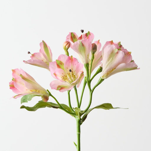 Artificial Alstromeria Spray 51cm Pink - Pack of 6 - FLORA DESIGNS
