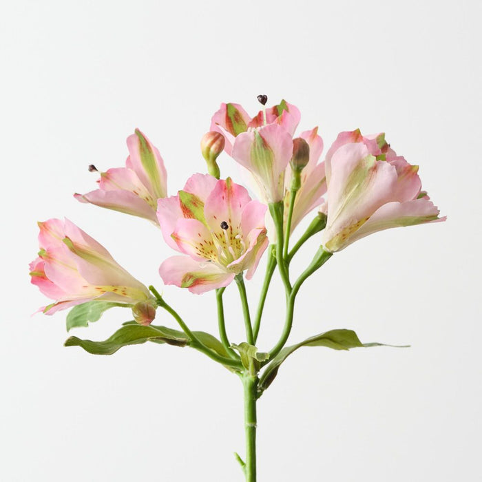 Artificial Alstromeria Spray 51cm Pink - Pack of 6 - FLORA DESIGNS