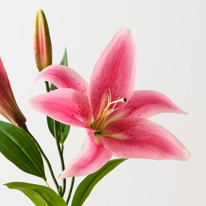 Artificial Tiger Lily 73cm Hot Pink - Pack of 12 - FLORA DESIGNS