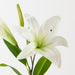 Artificial Tiger Lily 73cm White Green - Pack of 12 - FLORA DESIGNS
