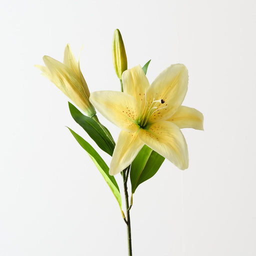 Artificial Tiger Lily 73cm Yellow - Pack of 12 - FLORA DESIGNS