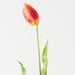 Artificial Dutch Tulip 69cm Flame - Pack of 12 - FLORA DESIGNS