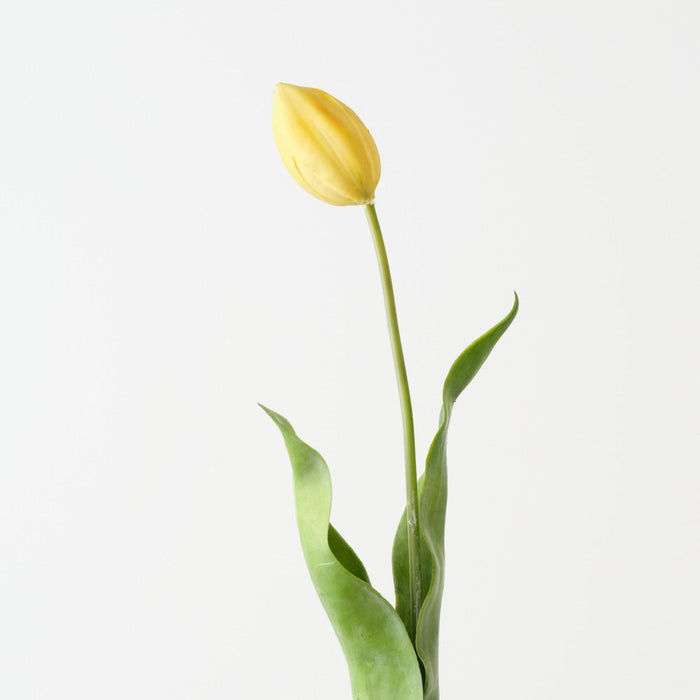 Artificial Dutch Tulip 69cm Yellow - Pack of 12 - FLORA DESIGNS
