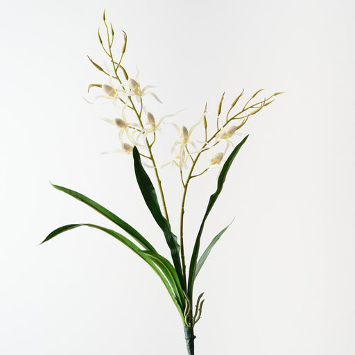 Artificial Lady Slipper Orchid Bush 75cm White - FLORA DESIGNS