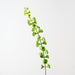 Artificial Bell of Ireland 94cm Green - FLORA DESIGNS