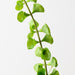 Artificial Bell of Ireland 94cm Green - FLORA DESIGNS