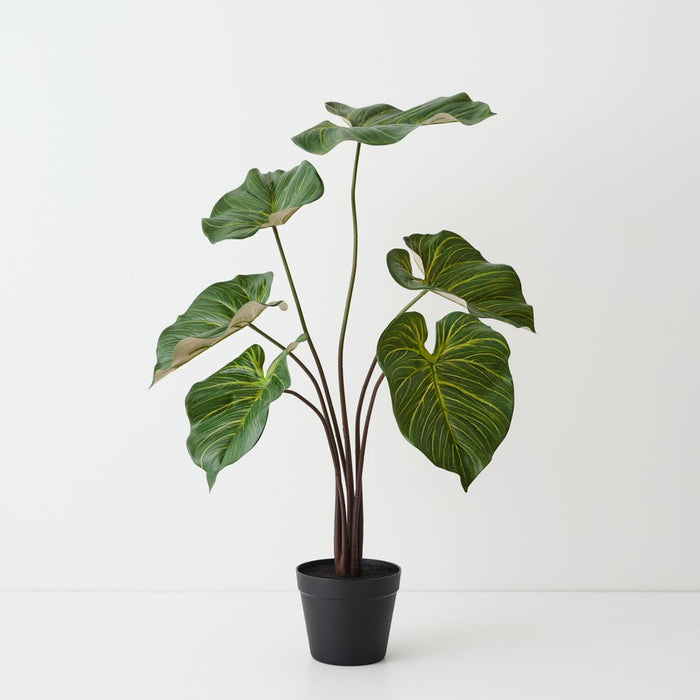Artificial Taro Plant 80cm Green - Pack of 2 - FLORA DESIGNS