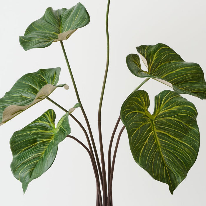 Artificial Taro Plant 80cm Green - Pack of 2 - FLORA DESIGNS