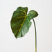 Artificial Taro Leaf 61cm Green - Pack of 12 - FLORA DESIGNS