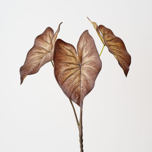 Artificial Caladium Leaf Bush 48cm Brown - Pack of 6 - FLORA DESIGNS