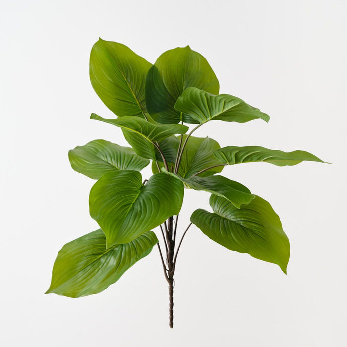 Artificial Spathiphyllum Leaf Bush 55cm Green - Pack of 6 - FLORA DESIGNS