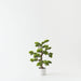 Artificial Japanese Pine Bonsai 66cm Green - FLORA DESIGNS