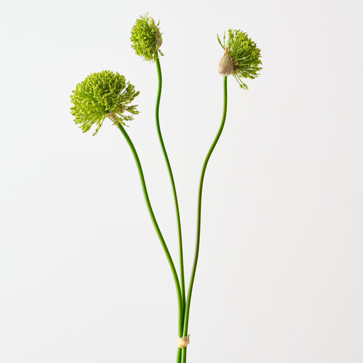 Artificial Allium Bundle 76cm Green - Pack of 12 - FLORA DESIGNS