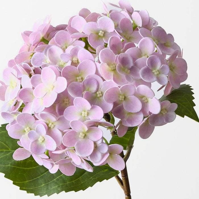 Artificial Hydrangea 44cm Dusty Pink - Pack of 12 - FLORA DESIGNS