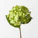 Artificial Hydrangea 44cm Green - Pack of 12 - FLORA DESIGNS