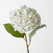 Artificial Hydrangea 56cm White - Pack of 12 - FLORA DESIGNS