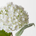 Artificial Hydrangea 56cm White - Pack of 12 - FLORA DESIGNS