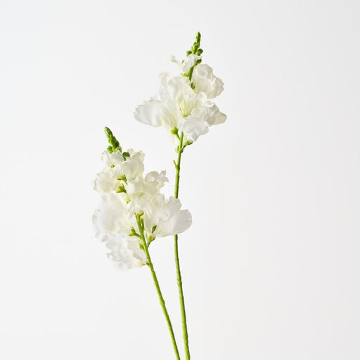 Artificial Snapdragon Spray 80cm White - FLORA DESIGNS