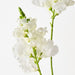 Artificial Snapdragon Spray 80cm White - FLORA DESIGNS