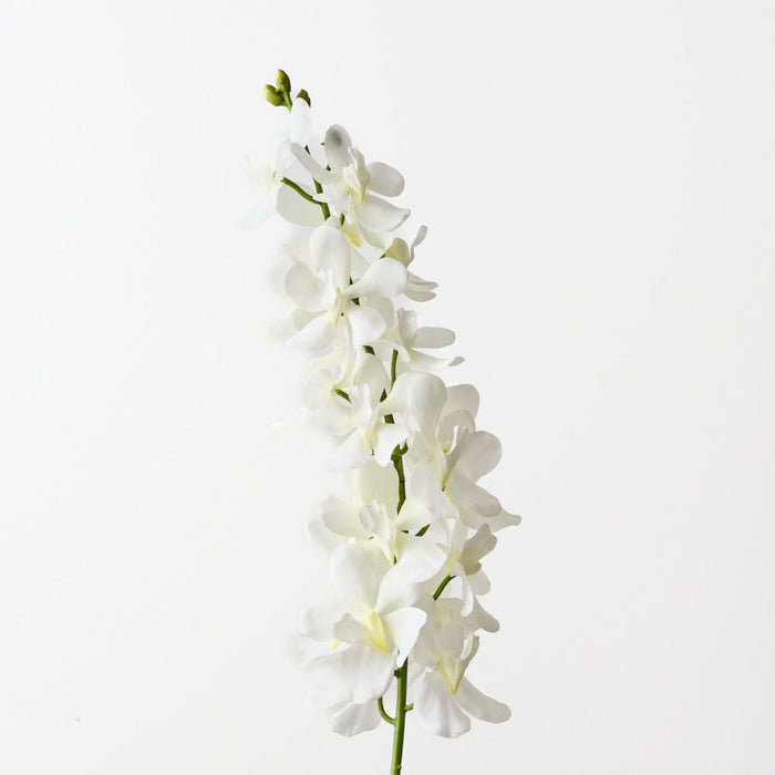 Artificial Mokara Orchid Spray 74cm Cream - Pack of 12 - FLORA DESIGNS