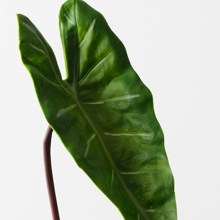 Artificial Alocasia Leaf 45cm Green - Pack of 12 - FLORA DESIGNS
