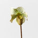 Artificial Lady Slipper Orchid 48cm Light Green - FLORA DESIGNS