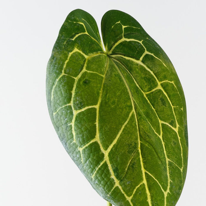Artificial Anthurium Crystal Leaf 81cm Green - Pack of 12 - FLORA DESIGNS