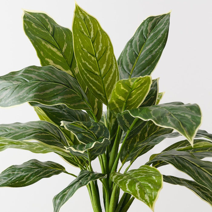 Artificial Calathea Bush 39cm Green White - Pack of 6 - FLORA DESIGNS