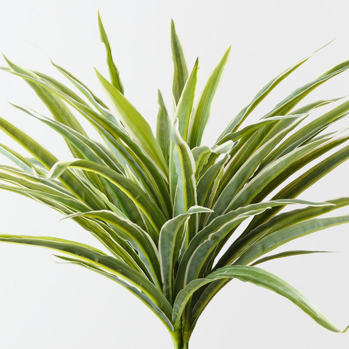 Artificial Dracaena Bush 30cm Green White - Pack of 6 - FLORA DESIGNS