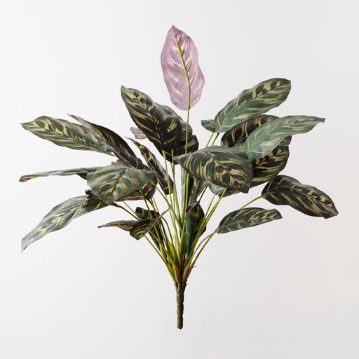 Artificial Calathea Bush 50cm Dark Green - Pack of 6 - FLORA DESIGNS