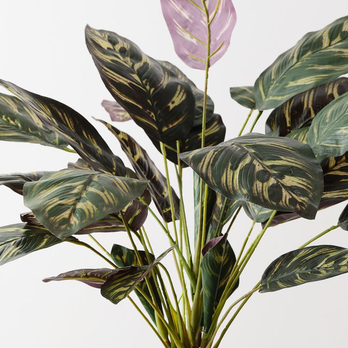 Artificial Calathea Bush 50cm Dark Green - Pack of 6 - FLORA DESIGNS