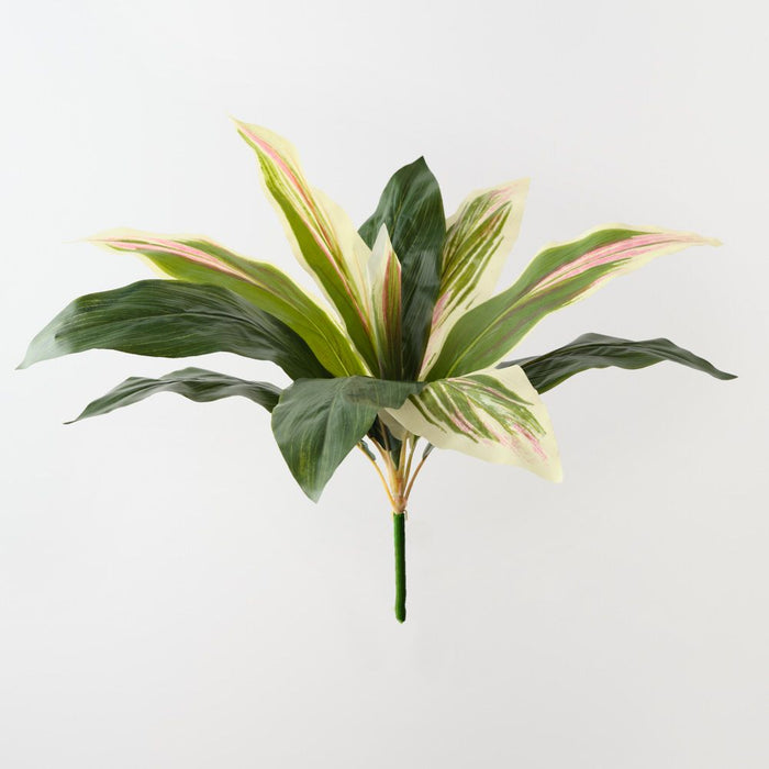 Artificial Cordyline Bush 39cm Green White Pink - Pack of 12 - FLORA DESIGNS