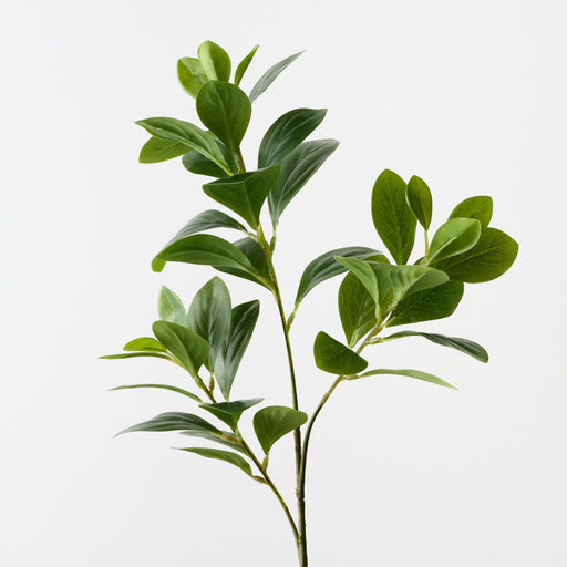 Artificial Peperomia Spray 69cm Green - Pack of 12 - FLORA DESIGNS