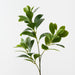 Artificial Peperomia Spray 69cm Green - Pack of 12 - FLORA DESIGNS