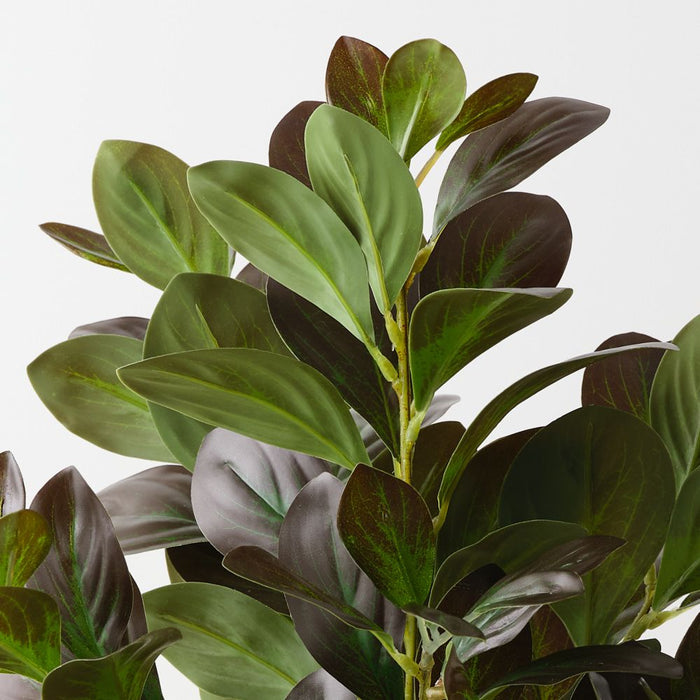 Artificial Peperomia Bush 53cm Eggplant Green - FLORA DESIGNS