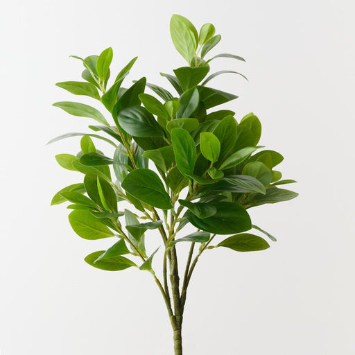 Artificial Peperomia Bush 53cm Green - Pack of 6 - FLORA DESIGNS