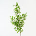 Artificial Gingko Leaf Spray 116cm Green - Pack of 6 - FLORA DESIGNS