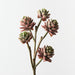 Artificial Echeveria Pick 45cm Pink Green - FLORA DESIGNS